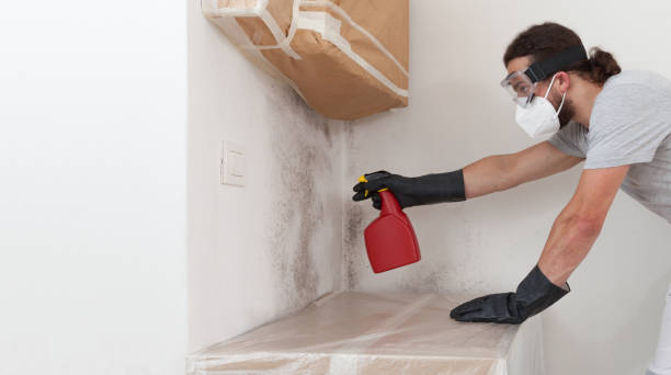 Professional Crawl Space Mold Removal technician working in Riverdale, NJ