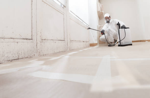 24/7 Emergency Crawl Space Mold Removal experts in Riverdale, NJ